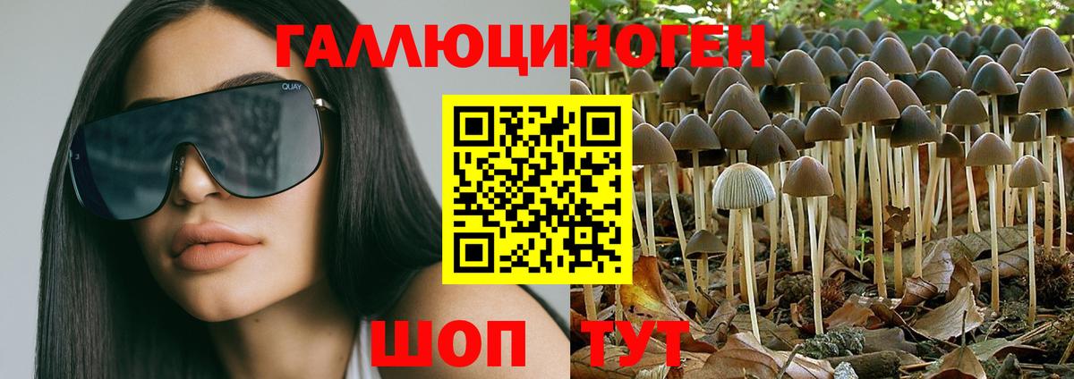 Псилоцибиновые грибы ЛСД  Псилоцибиновые грибы Psilocybe  Миасс  Вход с VPN 